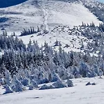 Cosy Sur Les Pistes De - Fr-1-814-109 Apartment