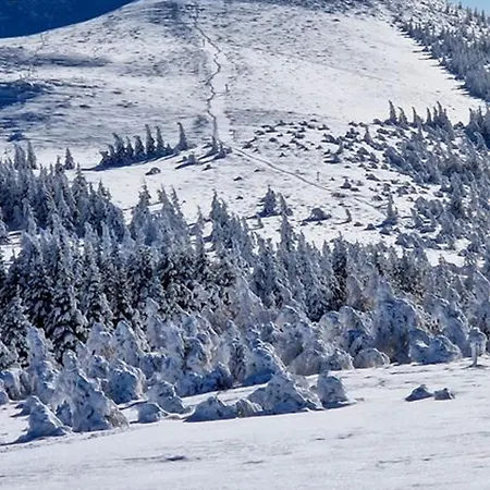Cosy Sur Les Pistes De - Fr-1-814-109 Lejlighed
