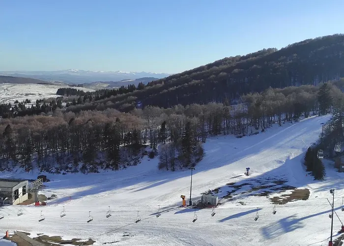 Cosy Sur Les Pistes De - Fr-1-814-109